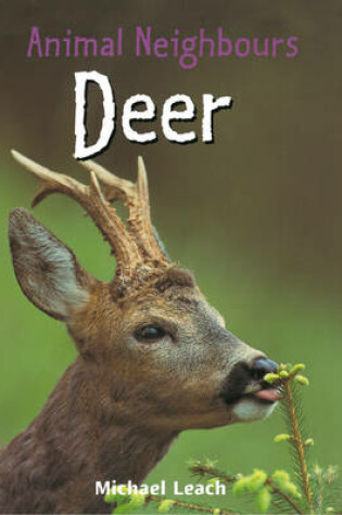 Cover of Animal Neighbours: Deer