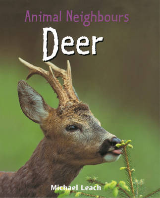 Book cover for Animal Neighbours: Deer