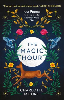 Book cover for The Magic Hour