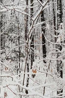 Book cover for Winter Season Journal After Snowstorm