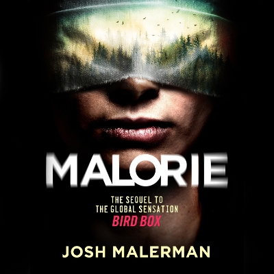 Book cover for Malorie