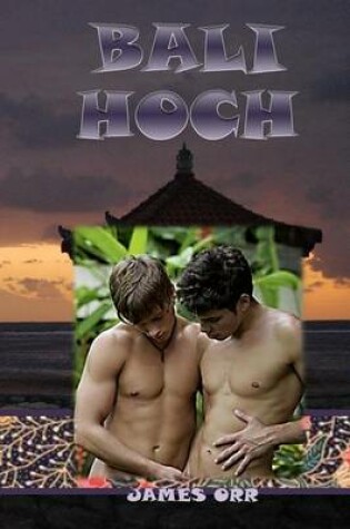 Cover of Bali Hoch