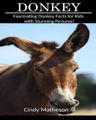 Book cover for Donkey