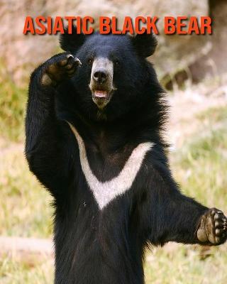 Book cover for Asiatic Black Bear