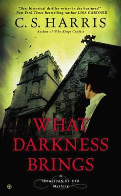 Book cover for What Darkness Brings