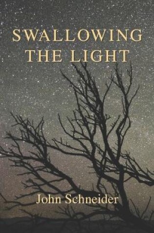 Cover of Swallowing the Light