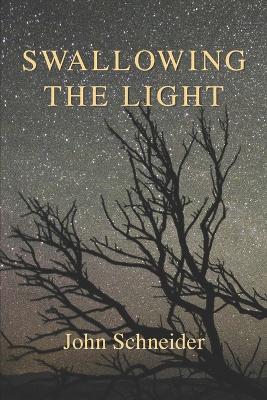 Book cover for Swallowing the Light