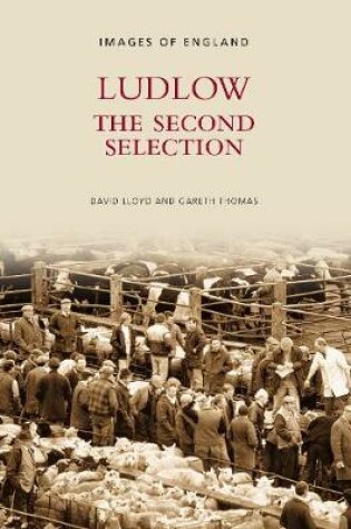 Cover of Ludlow The Second Selection