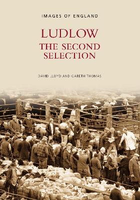 Book cover for Ludlow The Second Selection