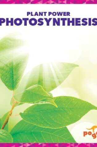 Cover of Photosynthesis