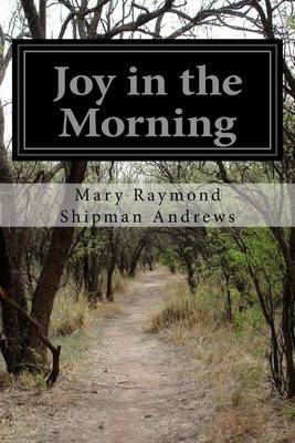 Book cover for Joy in the Morning