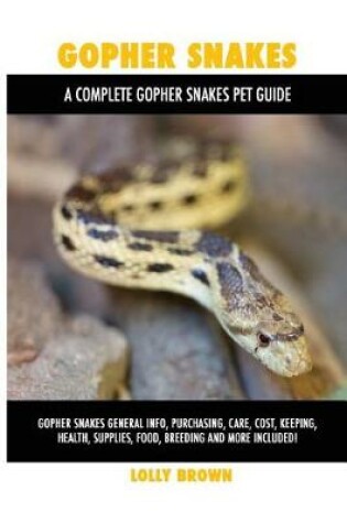 Cover of Gopher Snakes