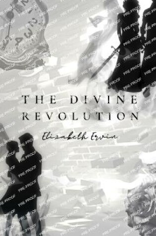 Cover of The Divine Revolution