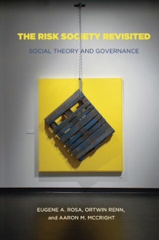 Cover of The Risk Society Revisited