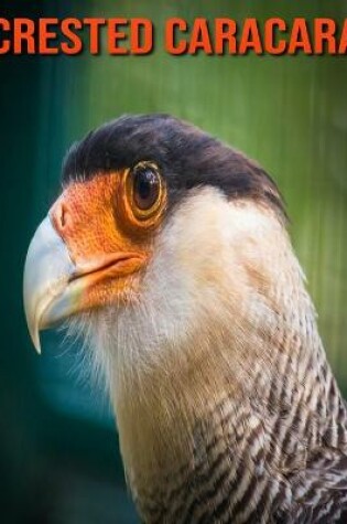 Cover of Crested Caracara