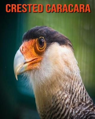 Book cover for Crested Caracara