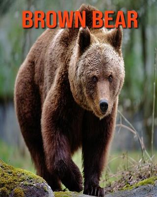 Book cover for Brown Bear