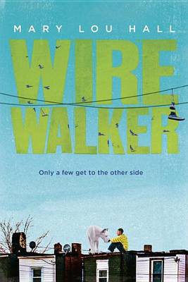 Book cover for Wirewalker