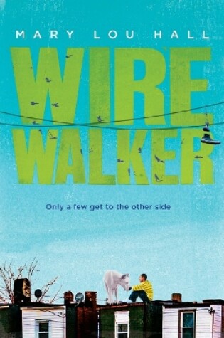 Cover of Wirewalker