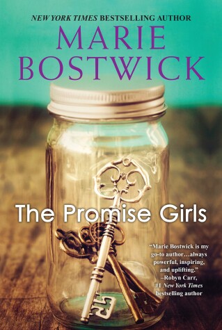 Book cover for The Promise Girls