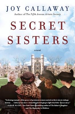 Book cover for Secret Sisters