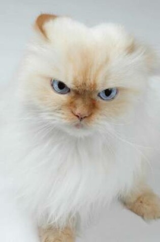 Cover of Persian Cat Is Pissed Journal