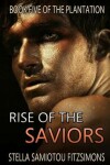 Book cover for Rise of the Saviors