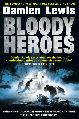 Cover of Bloody Heroes