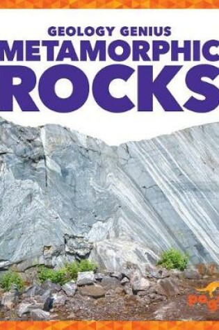 Cover of Metamorphic Rocks