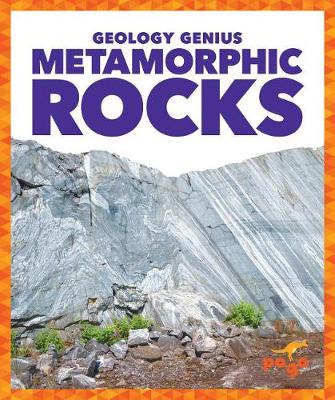 Cover of Metamorphic Rocks