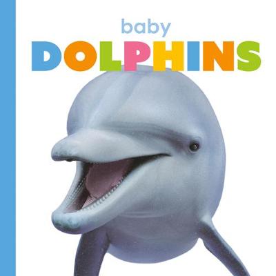 Book cover for Baby Dolphins