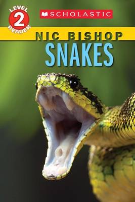 Book cover for Snakes (Scholastic Reader, Level 2: Nic Bishop Reader #5)
