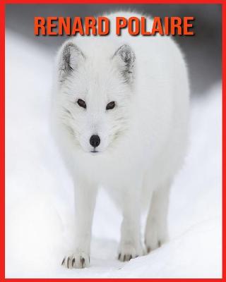 Book cover for Renard Polaire