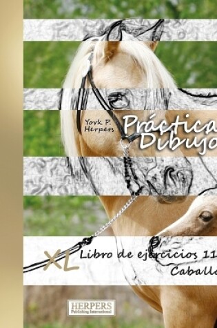 Cover of Práctica Dibujo - XL Libro de ejercicios 11