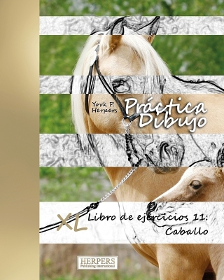 Cover of Práctica Dibujo - XL Libro de ejercicios 11