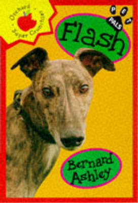 Book cover for Flash