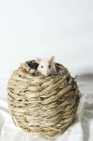 Cover of A Cute White Rat Animal Journal