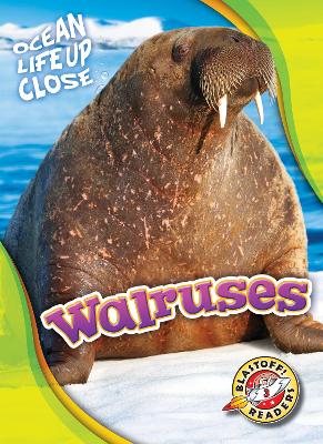 Book cover for Walruses