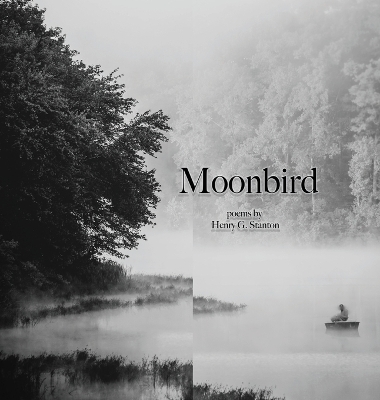 Book cover for Moonbird