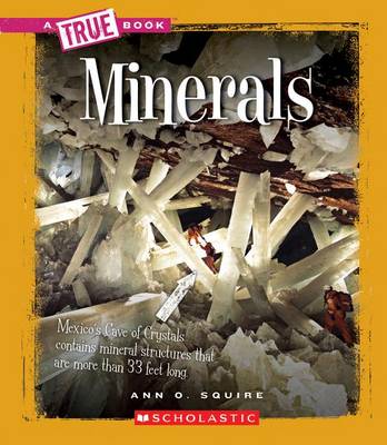 Book cover for Minerals