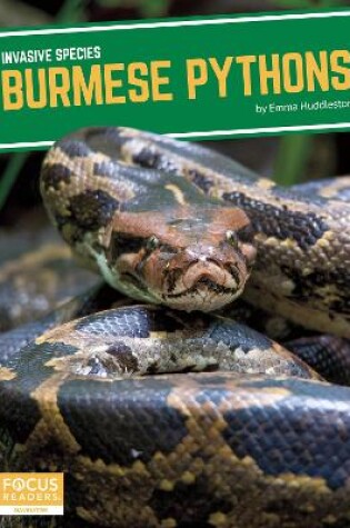 Cover of Invasive Species: Burmese Pythons