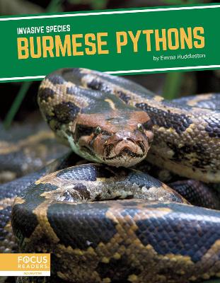 Book cover for Invasive Species: Burmese Pythons