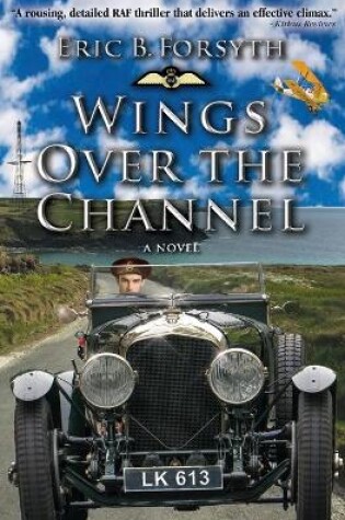 Cover of Wings Over the Channel