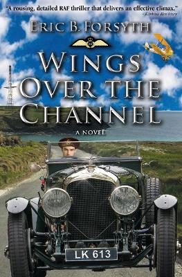 Book cover for Wings Over the Channel