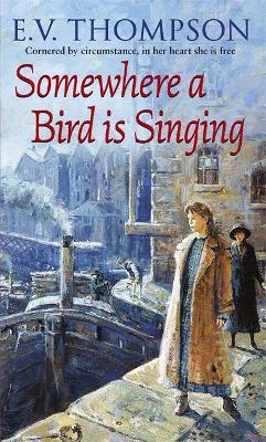 Book cover for Somewhere A Bird Is Singing