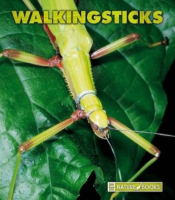 Book cover for Walkingsticks