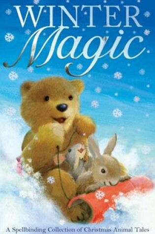 Cover of Winter Magic