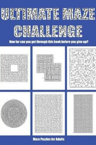 Cover of Maze Puzzles for Adults