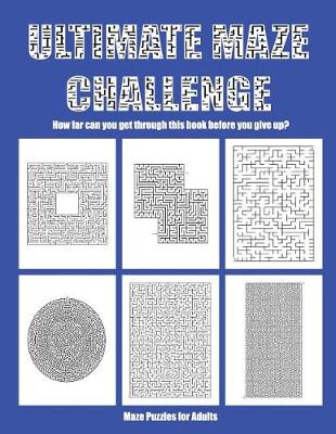 Book cover for Maze Puzzles for Adults