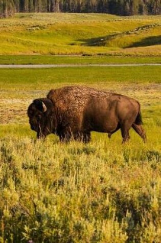 Cover of A Bison American Buffalo in Wyoming Journal